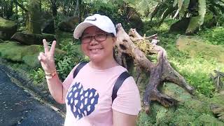 Download lagu At Botanical Garden Singapore | Everyone welcome to my YouTube channel mp3