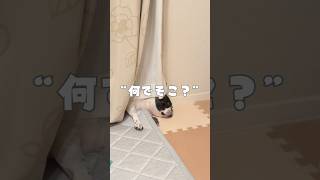 何でそこ？