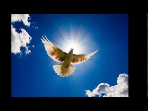 Holubek a holubicka - Redl, Hradistan