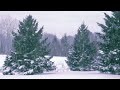 Winter Snowstorm White Noise | Snowfall and Wind Sounds
