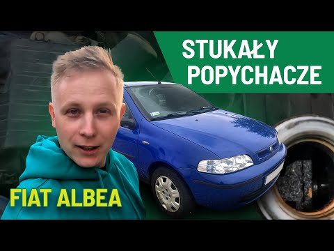 Fiat Albea and TEC 2000 flushing - shocking!