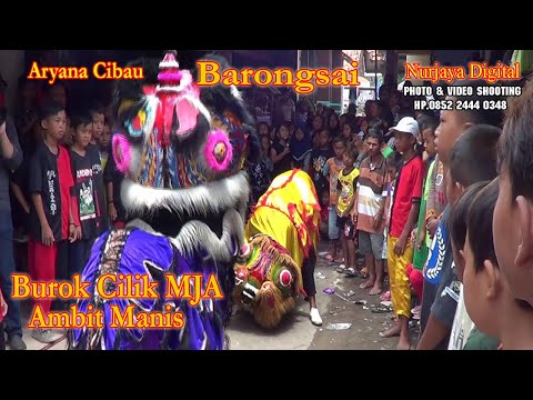 Barongsai ~ Burok Cilik MJA ambit manis ~ Live Ciuyah Cibau Cirebon