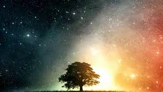 Quiet These Paintings Are - Shape of Despair