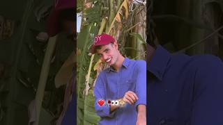 Download lagu me deewana kam nhi hu mp3