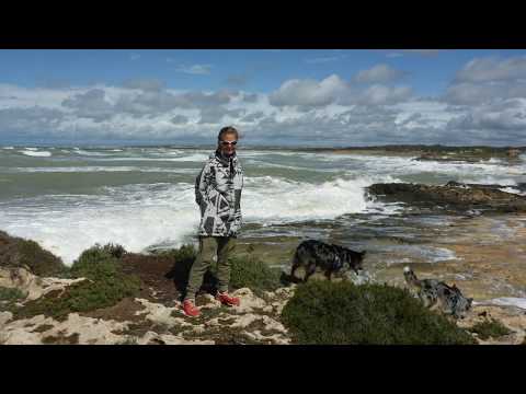 2018.03.23  EURO-Trip ITALIEN - SIZILIEN 2017/18: Gefährten des Sturmwinds