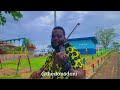 Pheelz Finesse Ft BNXN Violin Cover