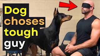 We Let Dogs Pick Their Humans on Adoption Day And THIS Happened 💔
