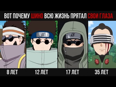 Вот почему Шино никогда не снимал очки в аниме Наруто и Боруто