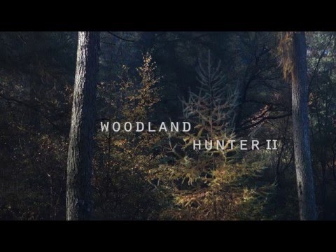 ELLIOT'S FALL - Woodland Hunter II (THE APPLESEED CAST cover)