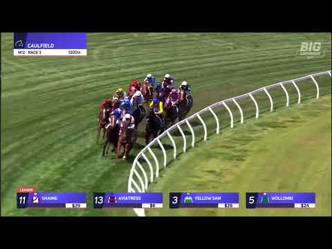 AVIATRESS | NORTHWOOD PLUME STAKES GROUP 3 2024