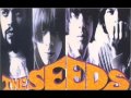 The Seeds -  It's a Hard Life