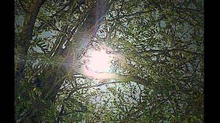 THE NORTH WIND -David Arkenstone