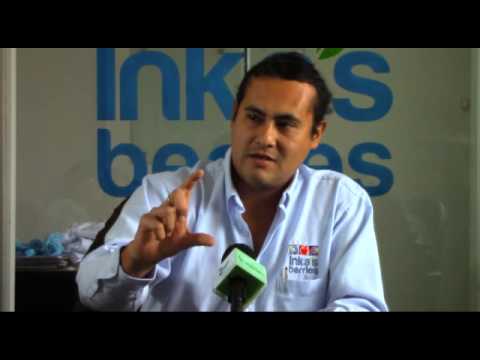 Inka´s Berries, Arándano peruano de exportación