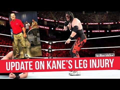Fight Size Update: Future Plans For Hulk Hogan, Titus O’Neil “Likes” Negative Hulk Hogan Comments, David Arquette Update
