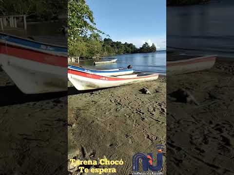 TARENA UNGUÍA CHOCÓ