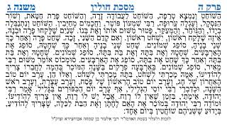 מסכת חולין פרק ה משנה ג