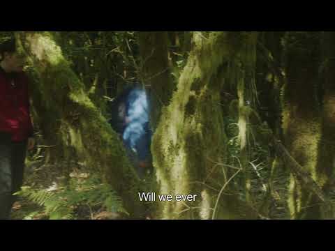 Common Birds trailer