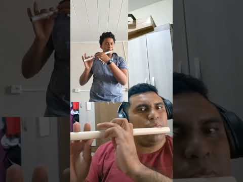 damiao e João do pifano de carneiros AL