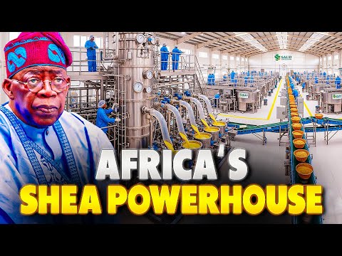 Africa’s Largest Shea Butter Plant Opens in Nigeria – A Game Changer
