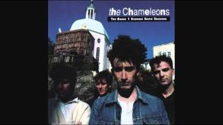 The Chameleons - On the Beach