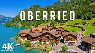 Oberried 4K Ultra HD 🌲 A Relaxing Journey Through Germany’s Black Forest