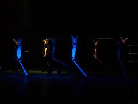 Coelhos, 2014 (Rabbits, 2014) - fragmento - Téssera Companhia de Dança da UFPR