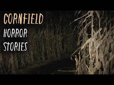 3 Terrifying TRUE Cornfield Horror Stories
