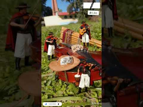 #aguaray #salta #music