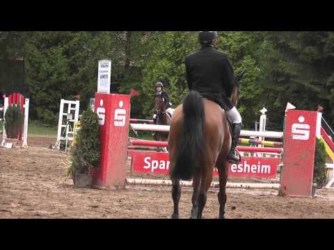 M Springen in Lamspringe Stechen