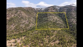 38.58 Acres Bordering the Wilderness