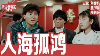 《人海孤鸿》刘德华×莫少聪×罗美薇｜从难民到黑道兄弟，他一生都在还命运的债！