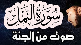 سورةالنمل كاملة تلاوة هادئة للنوم راحة للقلب ️ والعقل صوت من السماء وراحة نفسية بلال دربالي 2