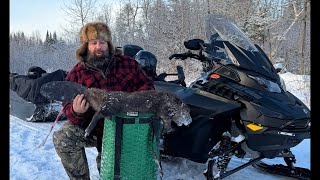 Q&A for Subscribers from Trapline Cabin Joe Holland is live!