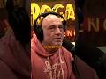 Joe Rogan S Heartfelt Advice On Losing A Dog