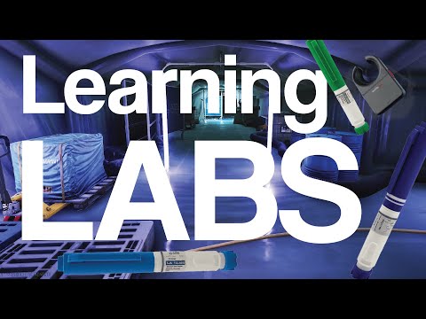 Learning how to survive on LABS in 5 HOURS