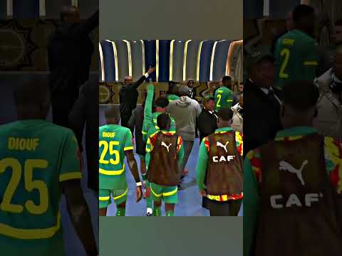 Болельщик сборной Сенегала который верил в победу #футбол #football #shorts #viral #trending