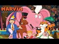 Marvin The Tap Dancing Horse 2000 Theme Song