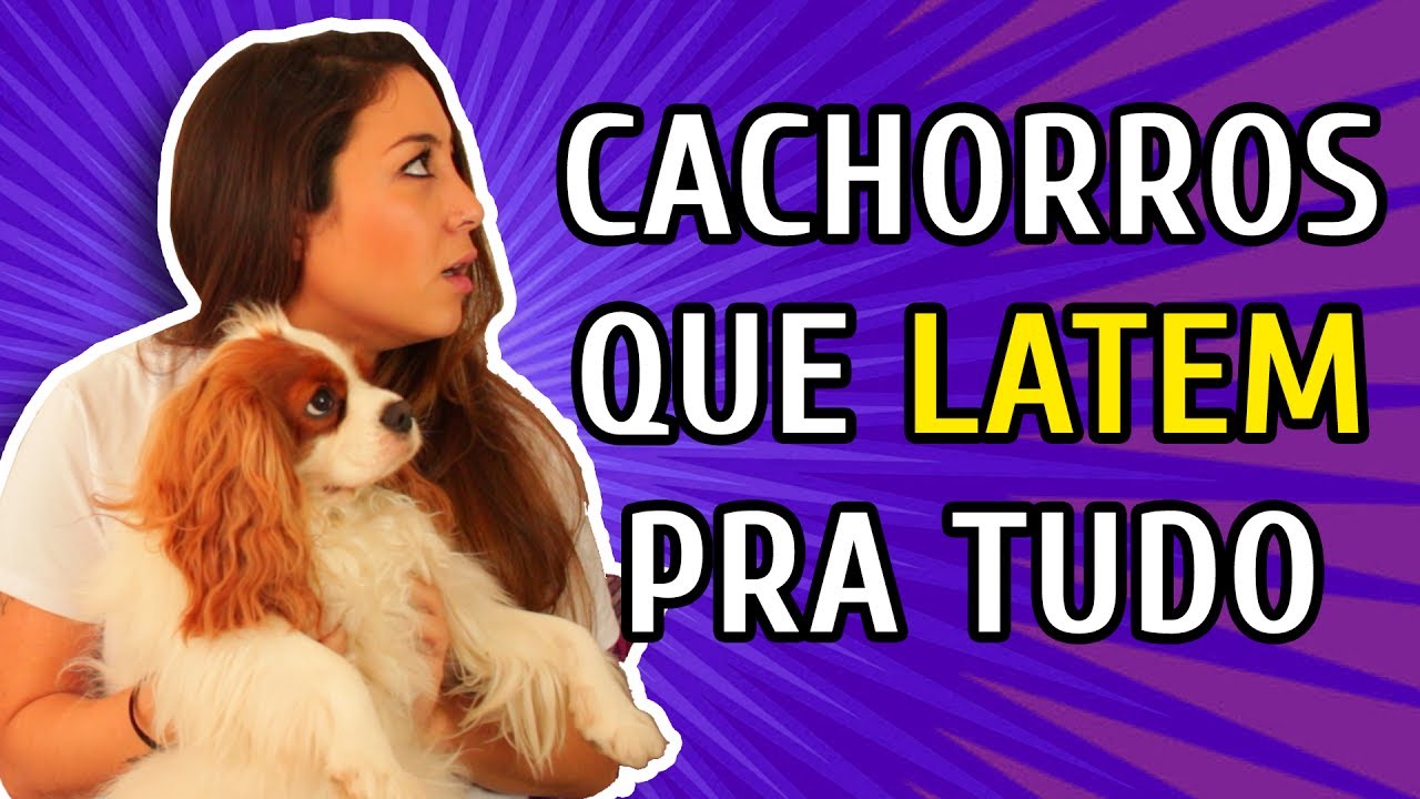 COMO CONTROLAR O LATIDO DO SEU CACHORRO com Bruno Leite