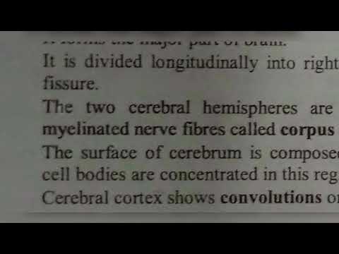 STRUCTURE OF HEART OF FROG BY PHANINDRA GUPTA