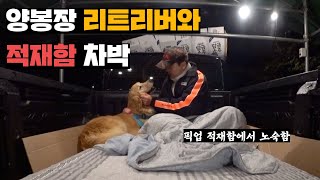 4년째 천방지축인 리트리버, 같이 차박하고 훈련소 데리고 가기