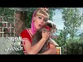 Djinn Djinn Returns I Dream Of Jeannie