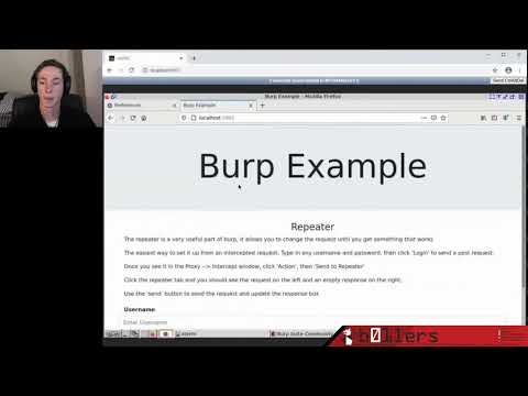 b01lers bootcamp - Web Exploitation pt. 2 - Burp Suite Demo
