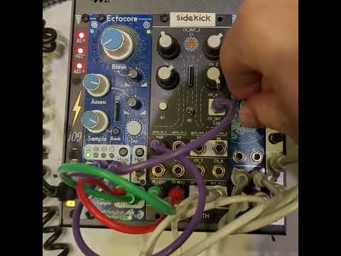 Ectocore transient sequencing thumbnail
