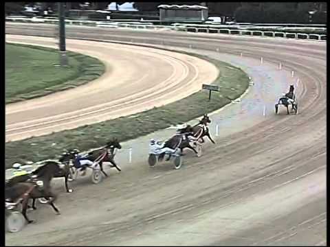 Trotto 31/12/2014 - 1° corsa