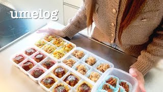 【作り置き】平日のお弁当おかず｜高校生の娘のお弁当作りVlogと猫🐱