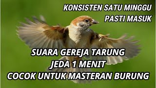 Download lagu SUARA GEREJA TARUNG JEDA 1 MENIT SPEED RAPAT JERNI... mp3