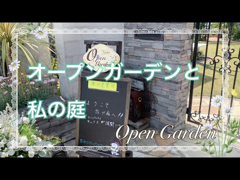 4月上旬から「ドミアンライブ」の新エピソードが登場