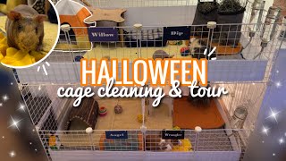 Halloween Guinea Pig Cage Cleaning & Tour!