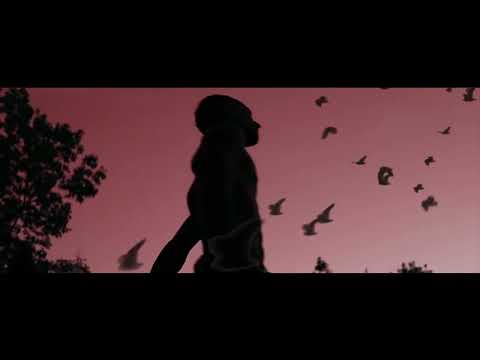 VIDEO - CARTI - JONNY HELLAS