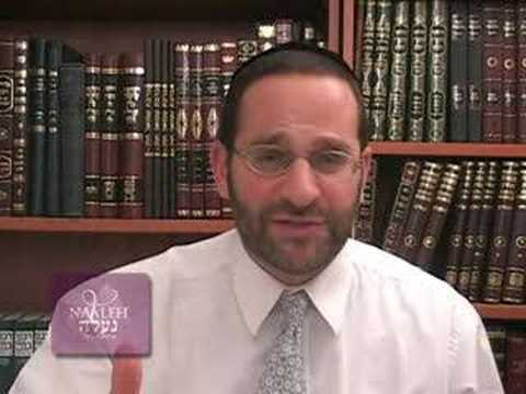 Jewish Torah Insights: Short Vort on Parshat Vayeshev